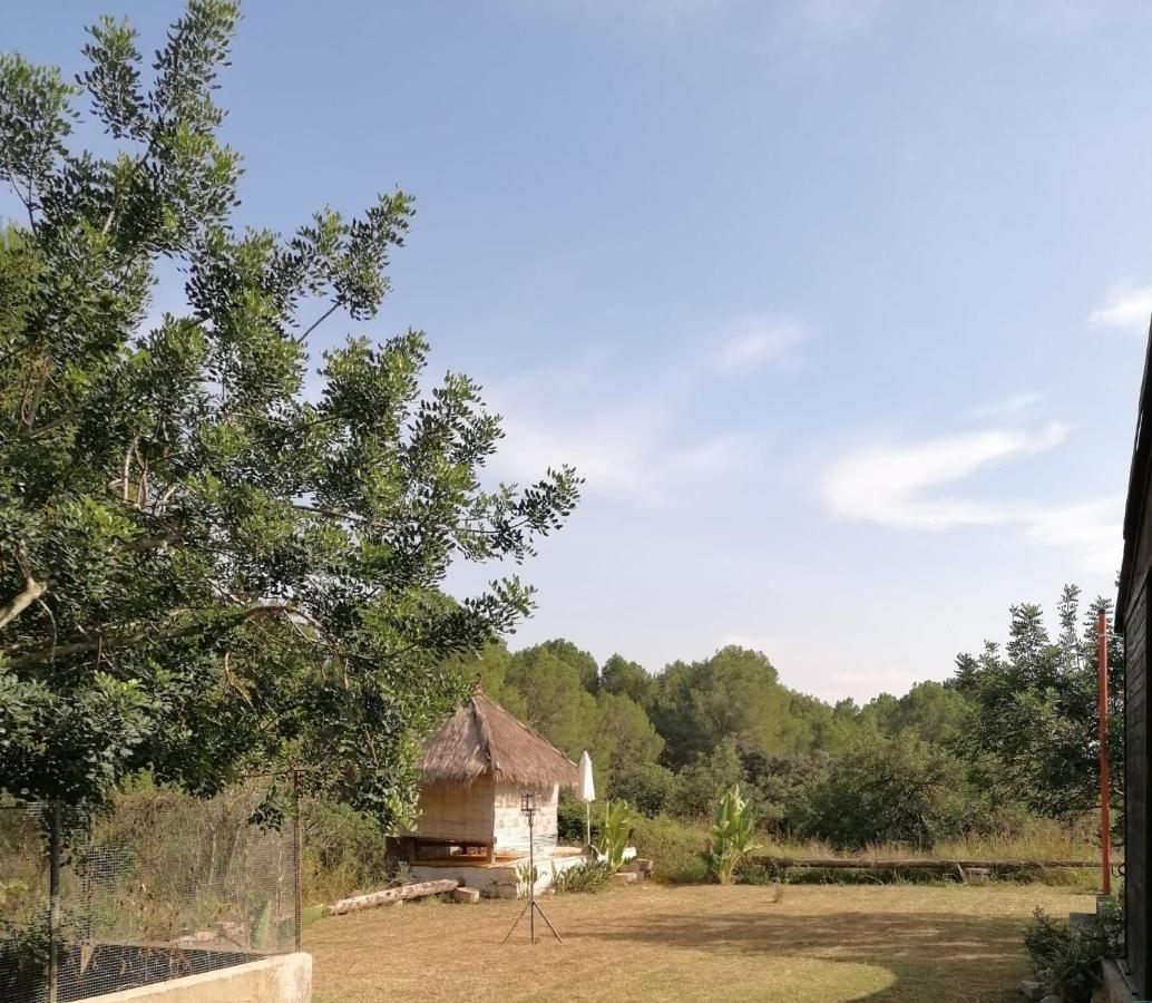 Chilliman & Mas Miro Biofarm Guest House Catllar Exterior photo